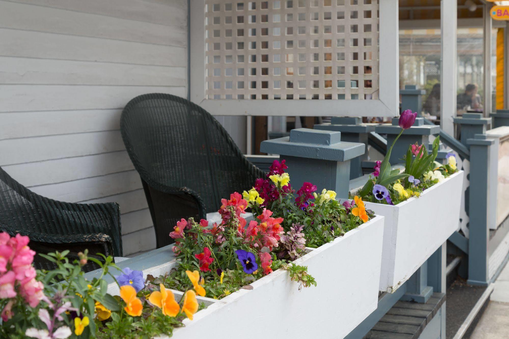 The Carroll Villa Hotel Cape May Exterior photo